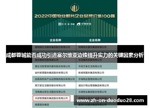 成都蓉城能否成功引进塞尔维亚边锋提升实力的关键因素分析