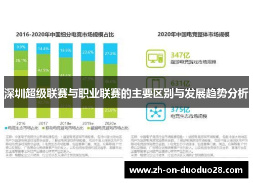 深圳超级联赛与职业联赛的主要区别与发展趋势分析