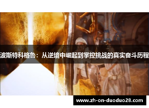 波斯特科格鲁：从逆境中崛起到掌控挑战的真实奋斗历程