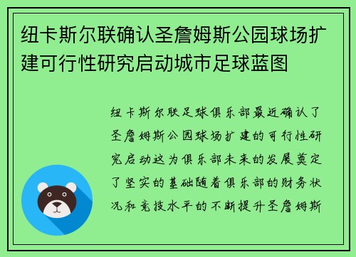 纽卡斯尔联确认圣詹姆斯公园球场扩建可行性研究启动城市足球蓝图