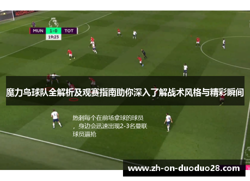 魔力鸟球队全解析及观赛指南助你深入了解战术风格与精彩瞬间